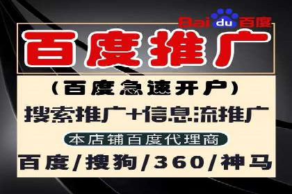 探索SEM代运营公司的经典案例与策略